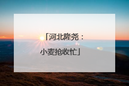河北隆尧：小麦抢收忙
