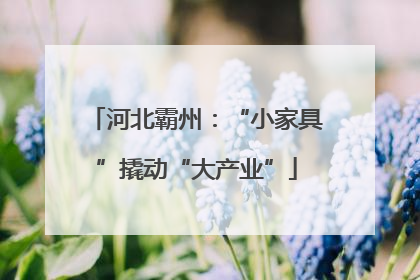 河北霸州：“小家具”撬动“大产业”