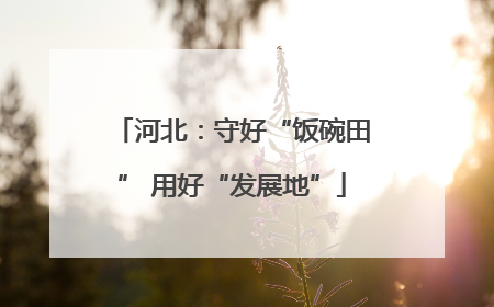 河北：守好“饭碗田” 用好“发展地”
