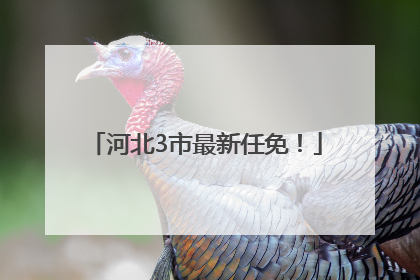 河北3市最新任免！