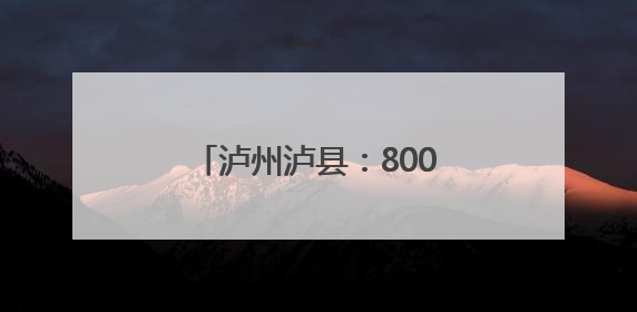 泸州泸县：8000只鸡苗免费送 乡贤助力农户增收