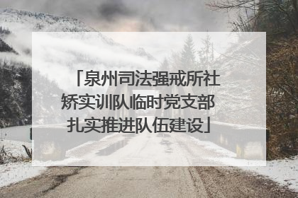 泉州司法强戒所社矫实训队临时党支部扎实推进队伍建设