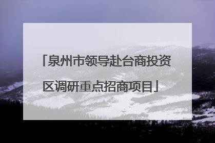泉州市领导赴台商投资区调研重点招商项目