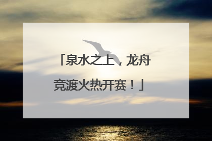 泉水之上，龙舟竞渡火热开赛！