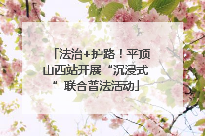 法治+护路！平顶山西站开展“沉浸式”联合普法活动