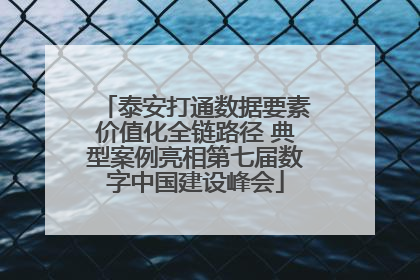 泰安打通数据要素价值化全链路径 典型案例亮相第七届数字中国建设峰会