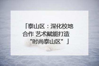 泰山区：深化校地合作 艺术赋能打造“时尚泰山区”
