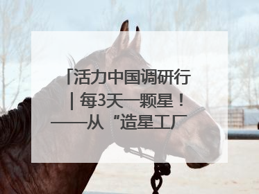 活力中国调研行｜每3天一颗星！——从“造星工厂”到太空织网的“银河速度”