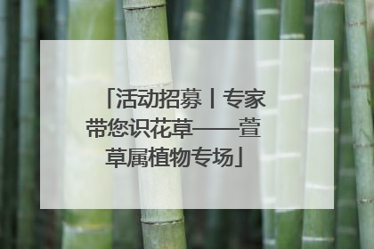 活动招募丨专家带您识花草——萱草属植物专场