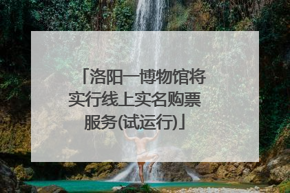 洛阳一博物馆将实行线上实名购票服务(试运行)