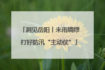 洞见岳阳丨未雨绸缪 打好防汛“主动仗”