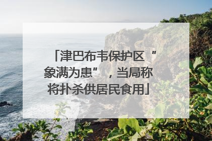 津巴布韦保护区“象满为患”，当局称将扑杀供居民食用