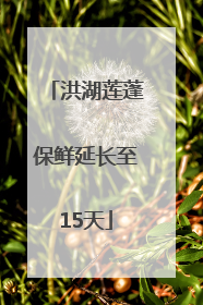 洪湖莲蓬保鲜延长至15天