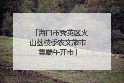 海口市秀英区火山荔枝季农文旅市集端午开市