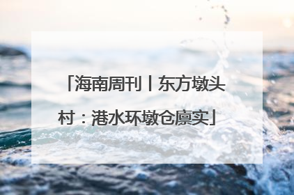 海南周刊丨东方墩头村：港水环墩仓廪实