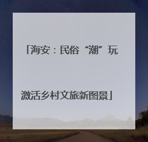 海安：民俗“潮”玩激活乡村文旅新图景