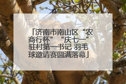 济南市南山区“农商行杯”“庆七一”驻村第一书记 羽毛球邀请赛圆满落幕