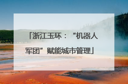 浙江玉环：“机器人军团”赋能城市管理