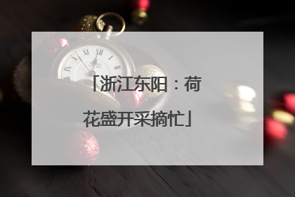 浙江东阳：荷花盛开采摘忙