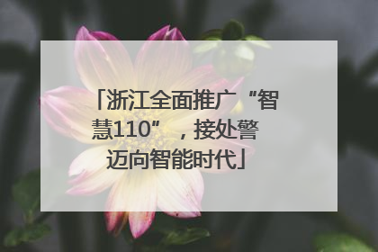 浙江全面推广“智慧110”，接处警迈向智能时代