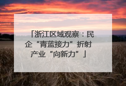 浙江区域观察：民企“青蓝接力”折射产业“向新力”