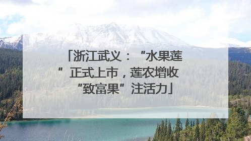 浙江武义：“水果莲”正式上市，莲农增收“致富果”注活力