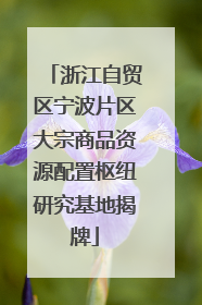 浙江自贸区宁波片区大宗商品资源配置枢纽研究基地揭牌
