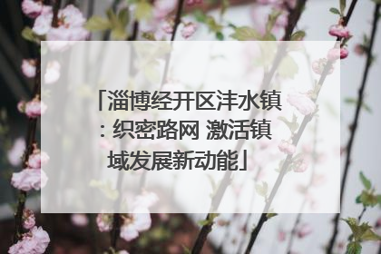 淄博经开区沣水镇：织密路网 激活镇域发展新动能