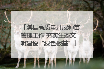 淇县高质量开展种苗管理工作 夯实生态文明建设“绿色根基”