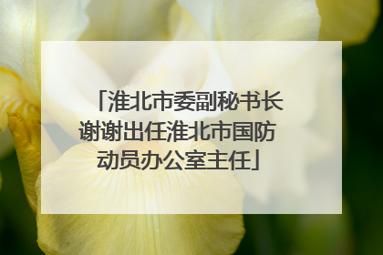 淮北市委副秘书长谢谢出任淮北市国防动员办公室主任