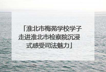 淮北市梅苑学校学子走进淮北市检察院沉浸式感受司法魅力