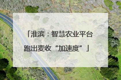 淮滨：智慧农业平台跑出麦收“加速度”