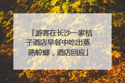 游客在长沙一家桔子酒店早餐中吃出蒸熟蟑螂，酒店回应