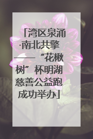 湾区泉涌·南北共擎——“花楸树”杯明湖慈善公益跑成功举办