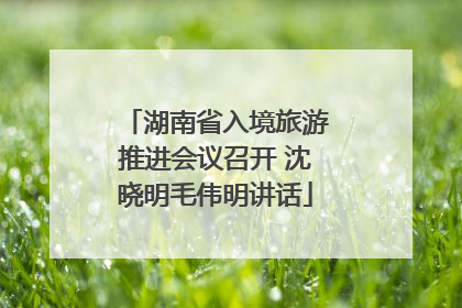湖南省入境旅游推进会议召开 沈晓明毛伟明讲话
