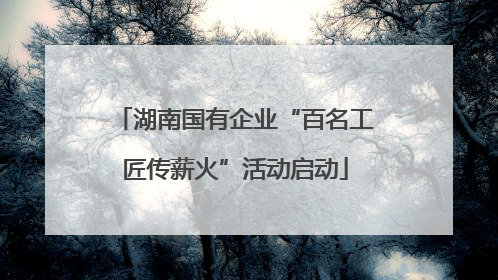 湖南国有企业“百名工匠传薪火”活动启动