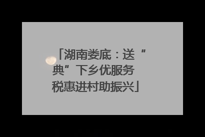 湖南娄底：送“典”下乡优服务 税惠进村助振兴