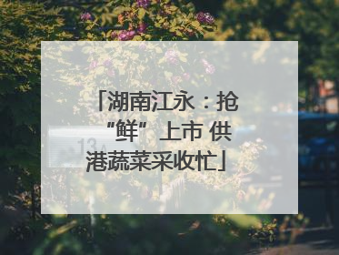 湖南江永：抢“鲜”上市 供港蔬菜采收忙
