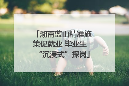 湖南蓝山精准施策促就业 毕业生“沉浸式”探岗