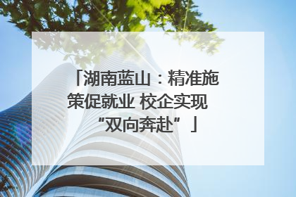 湖南蓝山：精准施策促就业 校企实现“双向奔赴”