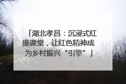 湖北孝昌：沉浸式红廉课堂，让红色精神成为乡村振兴“引擎”