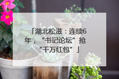 湖北松滋：连续6年，“书记论坛”抢“千万红包”
