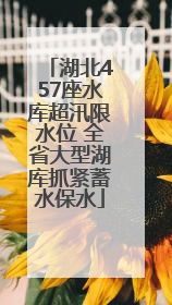 湖北457座水库超汛限水位 全省大型湖库抓紧蓄水保水