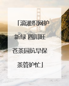滴灌织网护新绿 四川旺苍茶园抗旱保茶管护忙