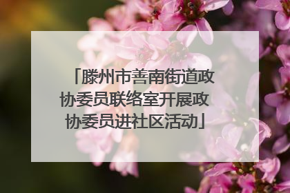 滕州市善南街道政协委员联络室开展政协委员进社区活动