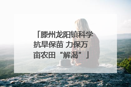 滕州龙阳镇科学抗旱保苗 力保万亩农田“解渴”