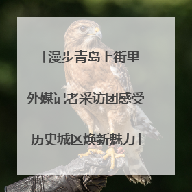 漫步青岛上街里 外媒记者采访团感受历史城区焕新魅力