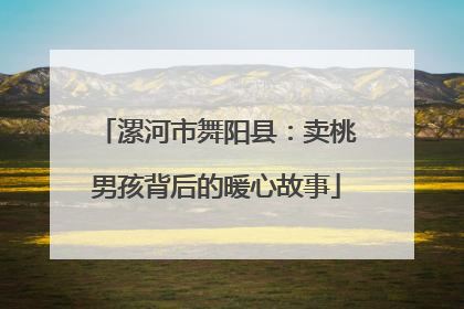 漯河市舞阳县：卖桃男孩背后的暖心故事
