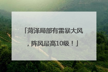 菏泽局部有雷暴大风，阵风最高10级！
