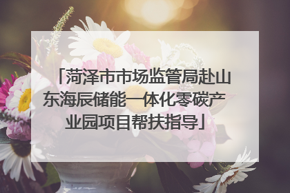 菏泽市市场监管局赴山东海辰储能一体化零碳产业园项目帮扶指导